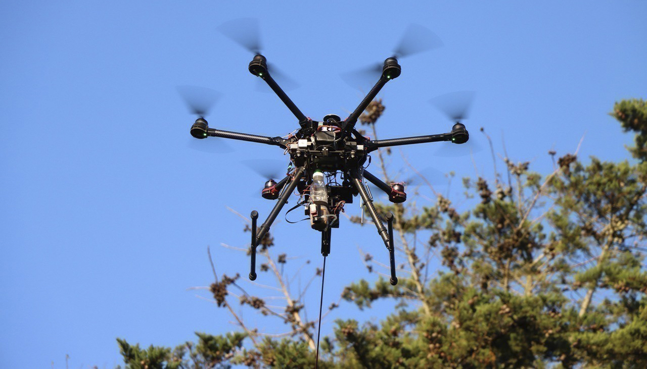 La Baule : dans les pins, un drone tueur de chenilles processionnaires